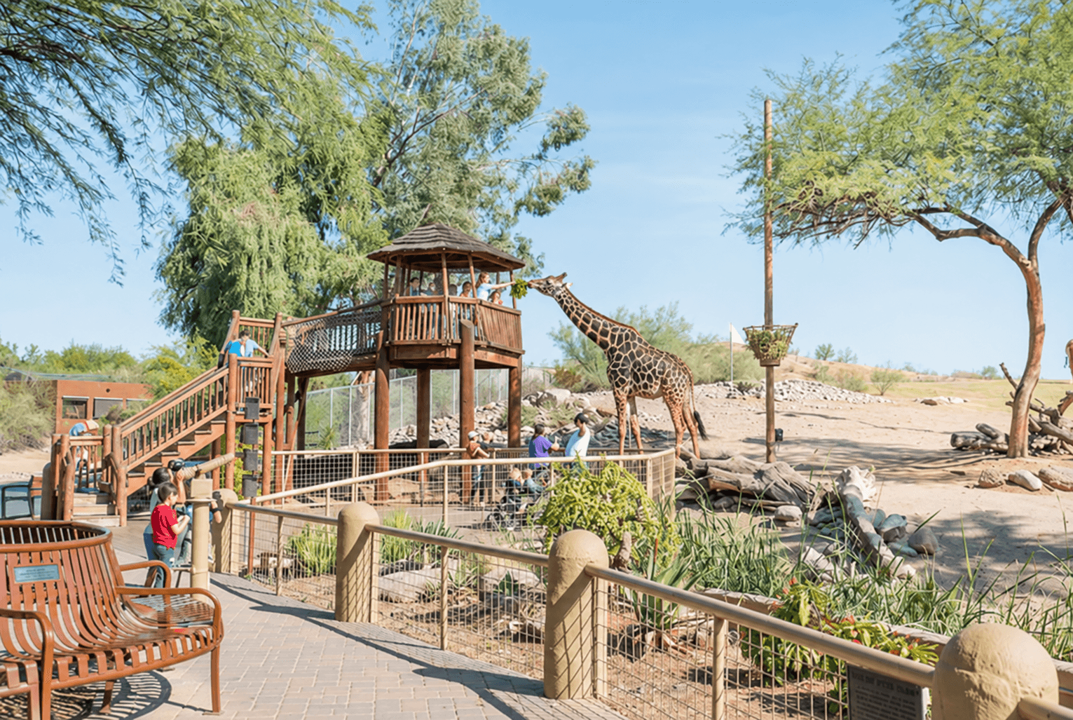 Phoenix Zoo